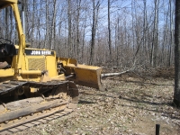 CabinFever 066